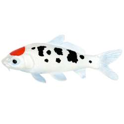 Safari Ltd 101025 Karp Koi Tancho  15x6,2cm - 2