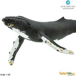 XL Safari Ltd  210002 Długopłetwiec oceaniczny 1:40 35x18 - 4