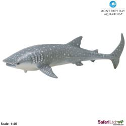 Safari Ltd 210602 Rekin wielorybi 1:40  24x8,5cm  MONTEREY B - 1
