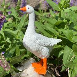 Safari Ltd 110307 Gęś  11,8x8,7x5cm - 1