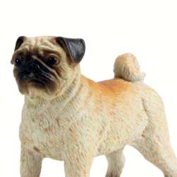 Safari Ltd 103540 Mops  6,5x5,5x3cm - 4