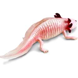 Safari Ltd 104650 Axolotl 18,5x7x4,4cm - 4