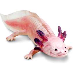 Safari Ltd 104650 Axolotl 18,5x7x4,4cm - 1