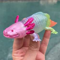 Safari Ltd 110487 Aksolotl tęczowy 18,5x7x4,4cm - 4