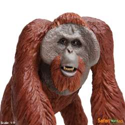 XL Safari Ltd 112289 Orangutan  skala 1:9  10,5x10x12,5cm  - 3