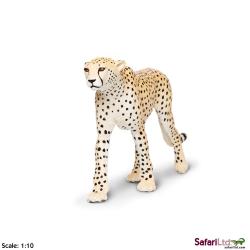 XL Safari Ltd 112889 Gepard  21x3x10    - 2