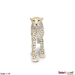 XL Safari Ltd 112889 Gepard  21x3x10    - 3