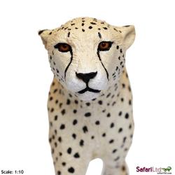 XL Safari Ltd 112889 Gepard  21x3x10    - 5