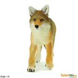 XL Safari Ltd 113089 Kojot  skala 1:9  16,5x9,5cm - 5