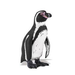 SAFARI 160705 Pingwin Humboldta - 2