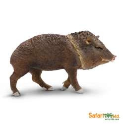 Safari Ltd 180629 Pekari  8,5x4,75cm - 4
