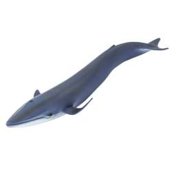 Safari Ltd 223229 Płetwal błękitny  26,5x10cm - 1