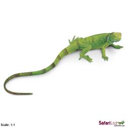 Safari Ltd 258329 Młody legwan zielony 24x10cm  skala 1:1 - 1