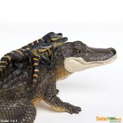XL Safari Ltd 259629 Aligator z młodymi 30,5x19cm  skala 1:6,3 - 3
