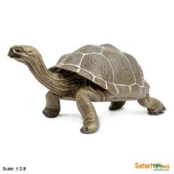 XL Safari Ltd 260729 Żółw z Galapagos  22,5 x 11,5cm - 1