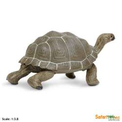 XL Safari Ltd 260729 Żółw z Galapagos  22,5 x 11,5cm - 2