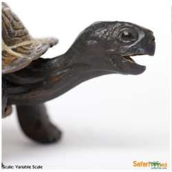 XL Safari Ltd 260829 Żółw z Galapagos młody  14 x 6,5cm - 2