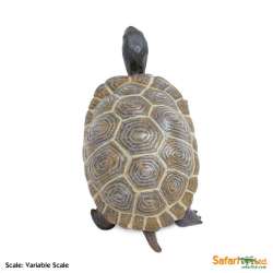 XL Safari Ltd 260829 Żółw z Galapagos młody  14 x 6,5cm - 4