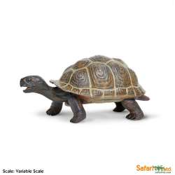 XL Safari Ltd 260829 Żółw z Galapagos młody  14 x 6,5cm - 1