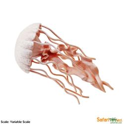 Safari Ltd 265529 Meduza  12,75 x 6cm - 2