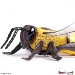 XL Safari Ltd 268229 Pszczoła miodna  14x17,5x5cm - 4