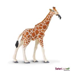 Safari Ltd 268429 Żyrafa siatkowana  14x18cm - 2