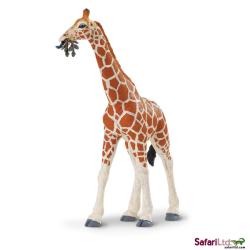 Safari Ltd 268429 Żyrafa siatkowana  14x18cm - 1
