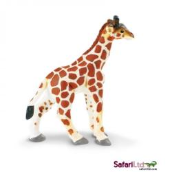 Safari Ltd 270729 Żyrafa młoda  7,5 x9cm - 1