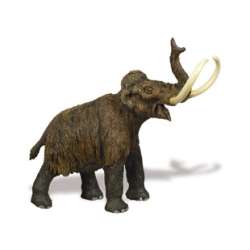 Safari Ltd 279929 Mamut    14x14cm - 1