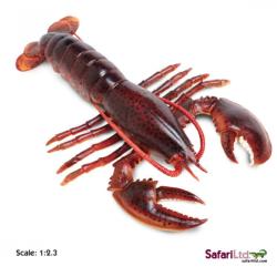 Safari Ltd 281629 Homar 23,2x17x4,5cm  skala 1:2,3 - 1