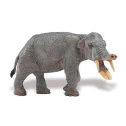 Safari Ltd 283229 Amebelodon  17,5 x 8cm - 1