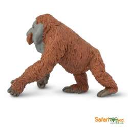 SAFARI 292929 ORANGUTAN SAMIEC  11,5 x7,5cm - 3