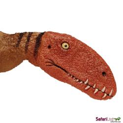 Safari Ltd 304729 Dinozaur Dimorfodon  23,5x14,5x2cm - 3