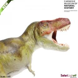 Safari Ltd 411301 Dinozaur Tyranosaurus Rex 19x13cm 1:40 - 3