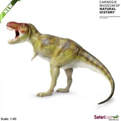 Safari Ltd 411301 Dinozaur Tyranosaurus Rex 19x13cm 1:40 - 1
