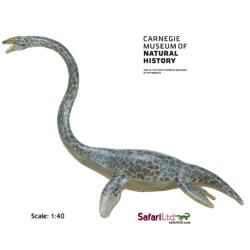 Safari Ltd 411701 Dinozaur Elasmozaur 1:40 23,5x15cm  Carnegie - 1