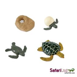 Safari Ltdi 662316 Cykl rozwojowy żółwia morskiego 18x23cm - 2