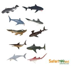 Safari Ltd 679904 Małe rekiny prehistoryczne 10 szt.w tubie - 2