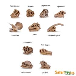 Safari Ltd 687404 czaszki dinozaurów w tubie - 3