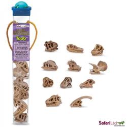 Safari Ltd 687404 czaszki dinozaurów w tubie - 1