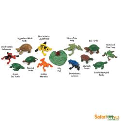 Safari Ltd 694804 Żaby i żółwie 13szt. w tubie 5x5x33cm - 4