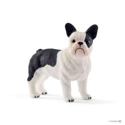 Schleich 13877 Buldog francuski  (SLH 13877) - 1