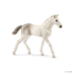 Schleich 13860 Źrebię rasy holsztyńskiej (SLH 13860) - 1