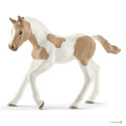 Schleich 13886 źrebię Pinto (SLH 13886) - 1