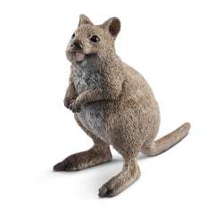 Schleich 14823 Kuoka krótkoogonowa (SLH 14823) - 2