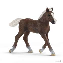 Schleich 13899 Źrebię szwarcwaldzkie (SLH 13899) - 1